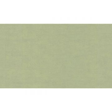 Обои виниловые на флизелине Marburg (Марбург) Bombay 2 10,05x0,92 м (30127)