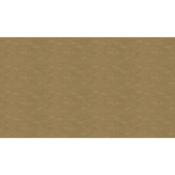 Обои виниловые на флизелине Marburg (Марбург) Bombay 2 10,05x0,92 м (30141)