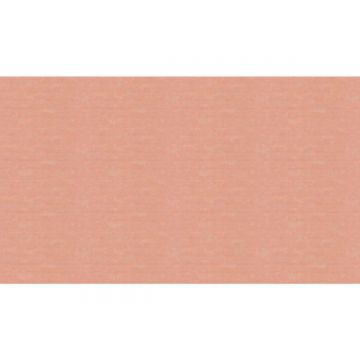 Обои виниловые на флизелине Marburg (Марбург) Bombay 2 10,05x0,92 м (30153)