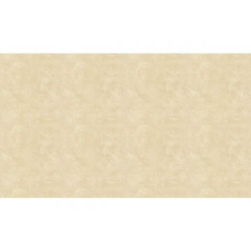 Обои виниловые на бумаге Zambaiti (Замбаити Парати) Mini Classic III 10,05x0,53 м (50513)