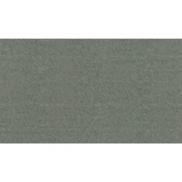 Обои виниловые на флизелине Zambaiti (Замбаити Парати) Trussardi VI 10,05x1,06 м (46042)