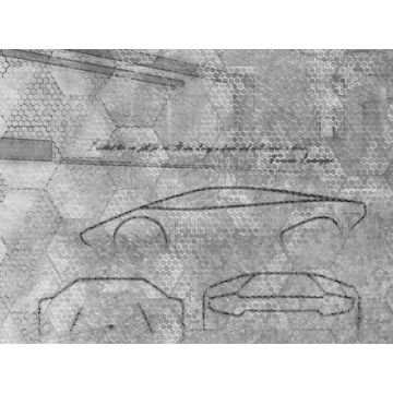 Панно виниловое на флизелине Zambaiti (Замбаити Парати) Lamborghini II 3,30x3,00 м (90056)