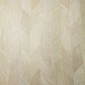 Обои виниловые на флизелине Zambaiti (Замбаити Парати) Trussardi V 10,05x0,70 м (21816)