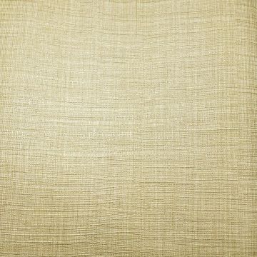 Обои виниловые на флизелине Zambaiti (Замбаити Парати) Trussardi V 10,05x0,70 м (21832)