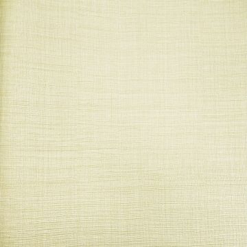 Обои виниловые на флизелине Zambaiti (Замбаити Парати) Trussardi V 10,05x0,70 м (21838)