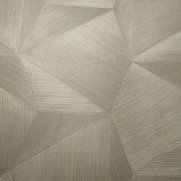 Обои виниловые на флизелине Zambaiti (Замбаити Парати) Trussardi V 10,05x0,70 м (21843)