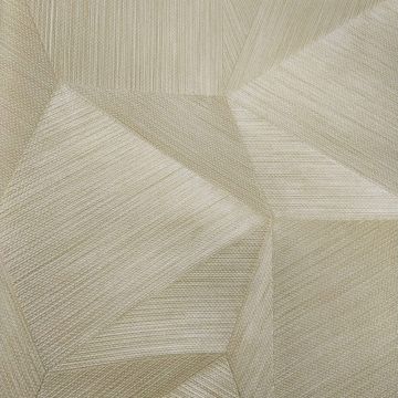 Обои виниловые на флизелине Zambaiti (Замбаити Парати) Trussardi V 10,05x0,70 м (21846)