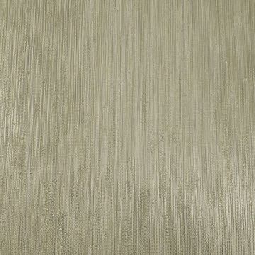 Обои виниловые на флизелине Zambaiti (Замбаити Парати) Trussardi V 10,05x0,70 м (21848)