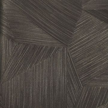 Обои виниловые на флизелине Zambaiti (Замбаити Парати) Trussardi V 10,05x0,70 м (21852)