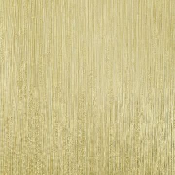 Обои виниловые на флизелине Zambaiti (Замбаити Парати) Trussardi V 10,05x0,70 м (21854)