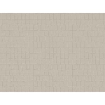 Обои виниловые на флизелине Zambaiti Parati Phillip Plein 10х0,7 м (Z80031)