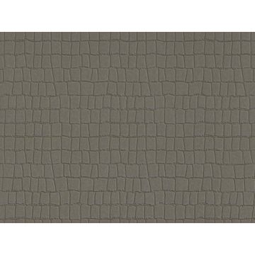 Обои виниловые на флизелине Zambaiti Parati Phillip Plein 10х0,7 м (Z80032)