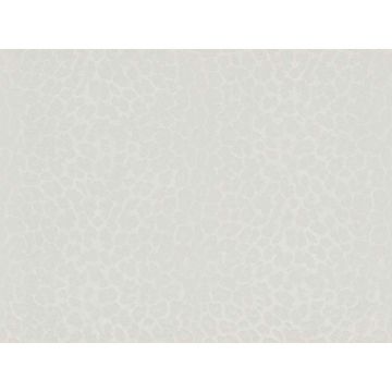 Обои виниловые на флизелине Zambaiti Parati Phillip Plein 10х0,7 м (Z80041)