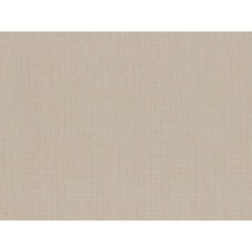 Обои виниловые на флизелине Zambaiti Parati Phillip Plein 10х0,7 м (Z80054)