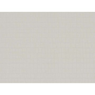 Обои виниловые на флизелине Zambaiti Parati Phillip Plein 10х0,7 м (Z80029)