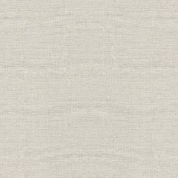 Обои Rasch (Раш) Metal Spirit 1.06x10.05 (970623)