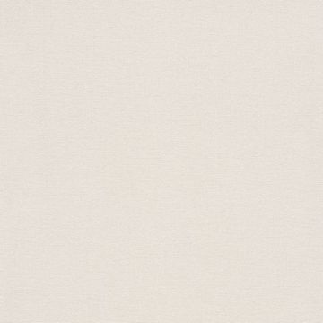 Обои Rasch Natural Colors 0.53x10.05 (448641)