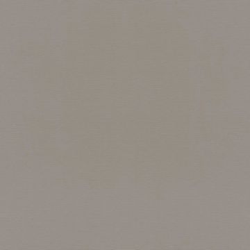 Обои Rasch (Раш) Natural Colors 0.53x10.05 (687545)