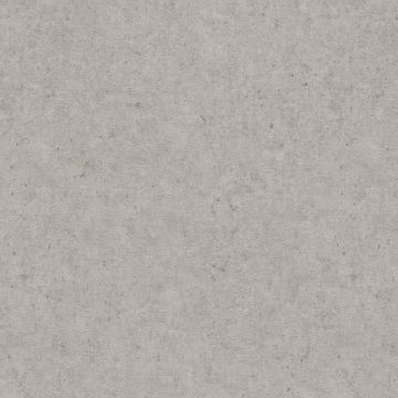 Обои Rasch (Раш) Trend 1.06x10.05 (974249)