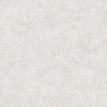 Обои виниловые Bernardo Bartalucci Bigi 10х1,06 м (5067-33)