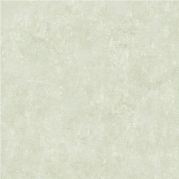 Обои виниловые Bernardo Bartalucci Bigi 10х1,06 м (5067-36)