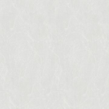 Обои виниловые Bernardo Bartalucci Carnazza 10,05х1,06 м (5060-6)