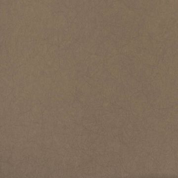 Обои флизелиновые Bernardo Bartalucci Legend 10,05х1,06 м (5068-16)