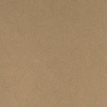 Обои флизелиновые Bernardo Bartalucci Legend 10,05х1,06 м (5068-35)