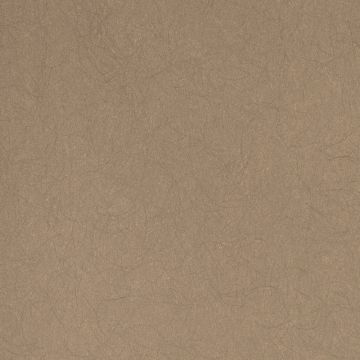 Обои флизелиновые Bernardo Bartalucci Legend 10,05х1,06 м (5068-39)