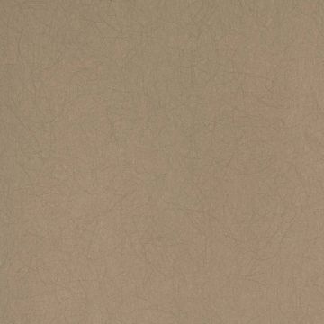 Обои флизелиновые Bernardo Bartalucci Legend 10,05х1,06 м (5068-40)