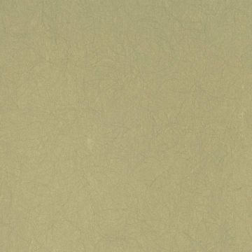 Обои флизелиновые Bernardo Bartalucci Legend 10,05х1,06 м (5068-45)