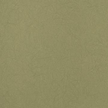 Обои флизелиновые Bernardo Bartalucci Legend 10,05х1,06 м (5068-47)