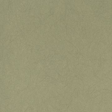 Обои флизелиновые Bernardo Bartalucci Legend 10,05х1,06 м (5068-50)