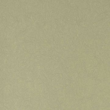 Обои флизелиновые Bernardo Bartalucci Legend 10,05х1,06 м (5068-51)