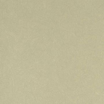 Обои флизелиновые Bernardo Bartalucci Legend 10,05х1,06 м (5068-52)