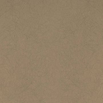 Обои флизелиновые Bernardo Bartalucci Legend 10,05х1,06 м (5068-65)