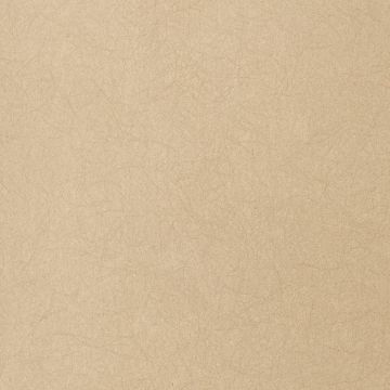Обои флизелиновые Bernardo Bartalucci Legend 10,05х1,06 м (5068-80)