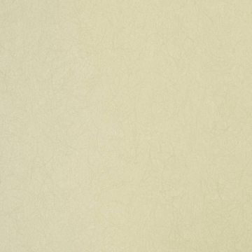 Обои флизелиновые Bernardo Bartalucci Legend 10,05х1,06 м (5068-85)