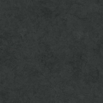 Обои виниловые на Флизелине Erismann Veter 10,05х1,06 м (60560-06)