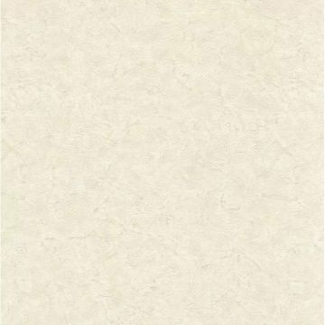 Обои виниловые Decori Decori Zen 10,05x1,06 м (72968)