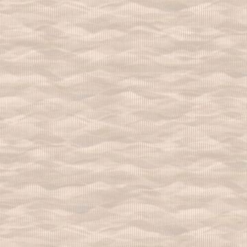 Обои флизелиновые A.Grifoni (А.Грифони) Palazzo Ragione 10,05х1,06 м (7021-2)