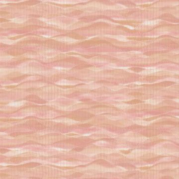 Обои флизелиновые A.Grifoni (А.Грифони) Palazzo Ragione 10,05х1,06 м (7021-4)