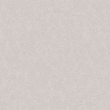 Обои флизелиновые Milassa (Миласса) Status vol 5 10,05х1 м (EST6001)