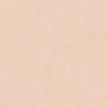 Обои флизелиновые Milassa (Миласса) Status vol 5 10,05х1 м (EST9001/2)