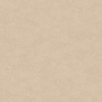 Обои флизелиновые Milassa (Миласса) Status vol 5 10,05х1 м (EST9002/1)