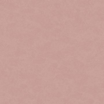 Обои флизелиновые Milassa (Миласса) Status vol 5 10,05х1 м (EST9003)