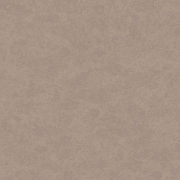 Обои флизелиновые Milassa (Миласса) Status vol 5 10,05х1 м (EST9008)