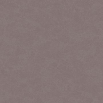 Обои флизелиновые Milassa (Миласса) Status vol 5 10,05х1 м (EST9009)