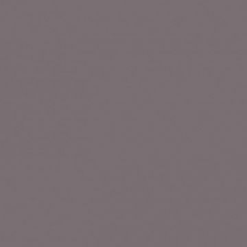 Обои флизелиновые Milassa (Миласса) Status vol 5 10,05х1 м (EST10002/5)