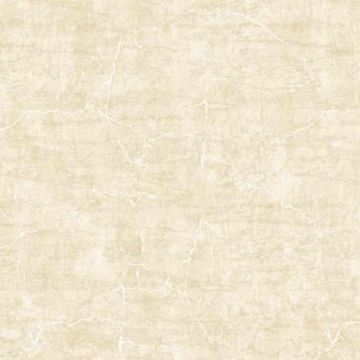Обои бумажные Bruno Zoff Gold 10,05х1,06 м (60121-1)